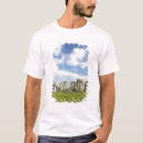 Pesquisar por 2500 camisetas Patrimônio