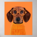 Pesquisar por poster do dachshund pôsteres Animal
