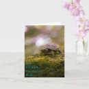 Pesquisar por fábula cartoes Tartaruga