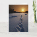 Pesquisar por footprint Snow