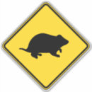 Pesquisar por hamster adesivos Engraçado