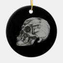 Pesquisar por ossos ornamentos Esqueleto