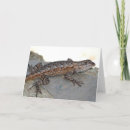 Pesquisar por dos répteis cartoes Animais