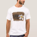 Pesquisar por egger masculinas camisetas Natureza