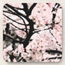 Pesquisar por flor japonesa porta copos Natureza