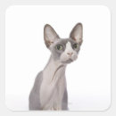 Pesquisar por sphynx adesivos Gatos