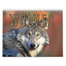 Pesquisar por homens calendarios Lobos