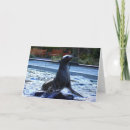 Pesquisar por água salgada cartoes Aquática