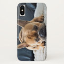 Pesquisar por de telefone da foto capas Animal de estimação