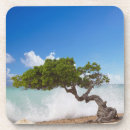 Pesquisar por aruba porta copos Ilha