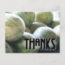 Pesquisar por melon cartoes Verde