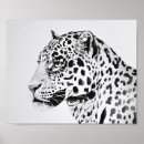 Pesquisar por fotografias artísticas preto e branco pôsteres Pintura