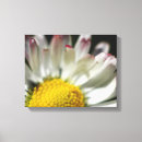 Pesquisar por flor simples impressão de canvas Arte