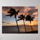 Pesquisar por poster de kauai havaí pôsteres Tropical