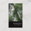 Pesquisar por planta bambu de cartao de visita Natureza