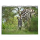 Pesquisar por zebra calendarios Animal