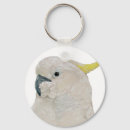 Pesquisar por cockatoo chaveiros Animal de estimação