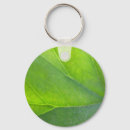 Pesquisar por veias chaveiros Folha