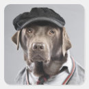 Pesquisar por bone adesivos Animais