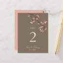 Pesquisar por flor sakura cartoes postais Moderno