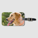Pesquisar por perfil bagagem tags Animal