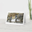 Pesquisar por mundo animal cartoes Qualquer pessoa