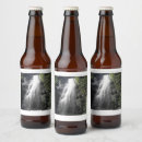 Pesquisar por cascata armazenamento alimentos Natureza