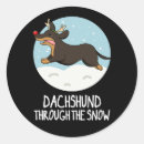 Pesquisar por pai dachshund adesivos Trocadilho