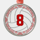 Pesquisar por voleibol ornamentos Jogador