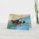 Pesquisar por concha de tartaruga cartoes Animal