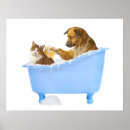 Pesquisar por funny dog pôsteres Pets