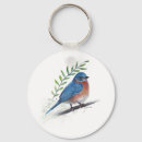 Pesquisar por bluebird porta chaves Pássaro azul