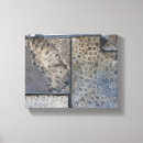 Pesquisar por fóssil impressão de canvas Pedra