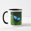 Pesquisar por imagem da borboleta canecas Animais selvagens