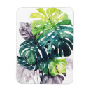 Pesquisar por palmas imas Folhas