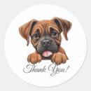 Pesquisar por boxer dog adesivos Pugilista