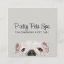 Pesquisar por pet grooming cartao de visita Cão