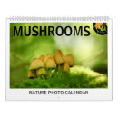 Pesquisar por cogumelos calendarios Natureza