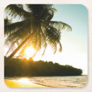 Pesquisar por palmeiras porta copos Árvores