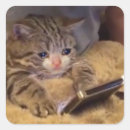 Pesquisar por meme do internet adesivos Piada