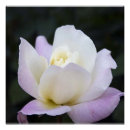 Pesquisar por 20x20 pôsteres Gráfico