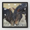 Pesquisar por cavalo marrom do pinto Cavalos