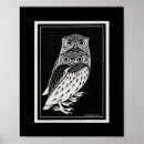 Pesquisar por coruja branca preta pôsteres Pássaro