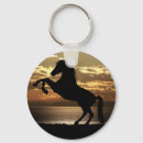 Pesquisar por cavalo chaveiros Natureza