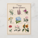 Pesquisar por victorian cartoes postais Bonito
