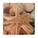 Pesquisar por lembrança azulejos Flor