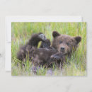 Pesquisar por da pata urso cartoes Ursinho