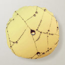 Pesquisar por aranha preta amarela Teia