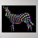 Pesquisar por zebra engraçada pôsteres Zebras