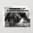 Pesquisar por escritório veterinário cartoes postais Animais de companhia